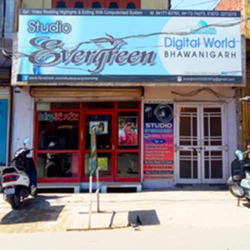 PPA PUNJAB - Evergreen Studio