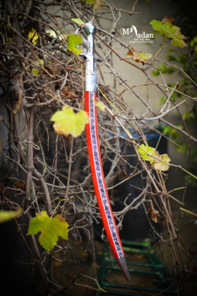 PPA Punjab Photo Gallery