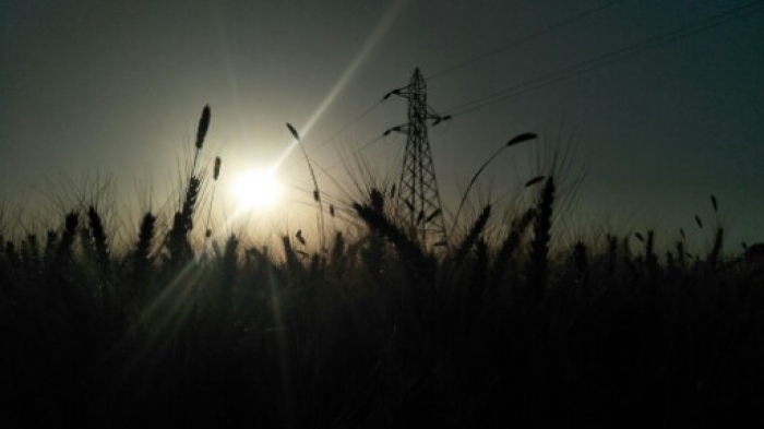 PPA Punjab Photo Gallery