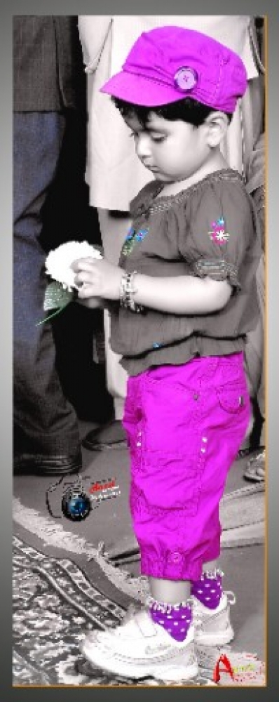 PPA Punjab Photo Gallery