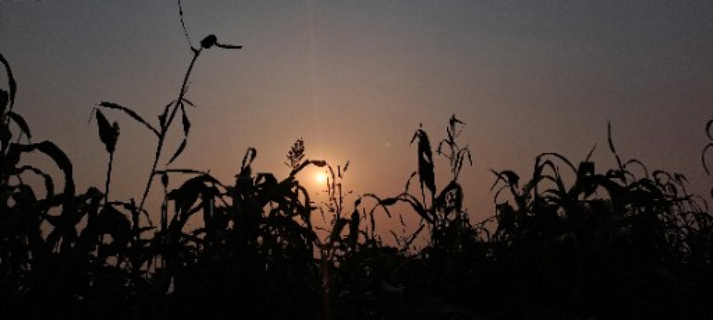 PPA Punjab Photo Gallery