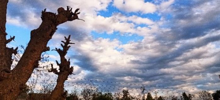 PPA Punjab Photo Gallery